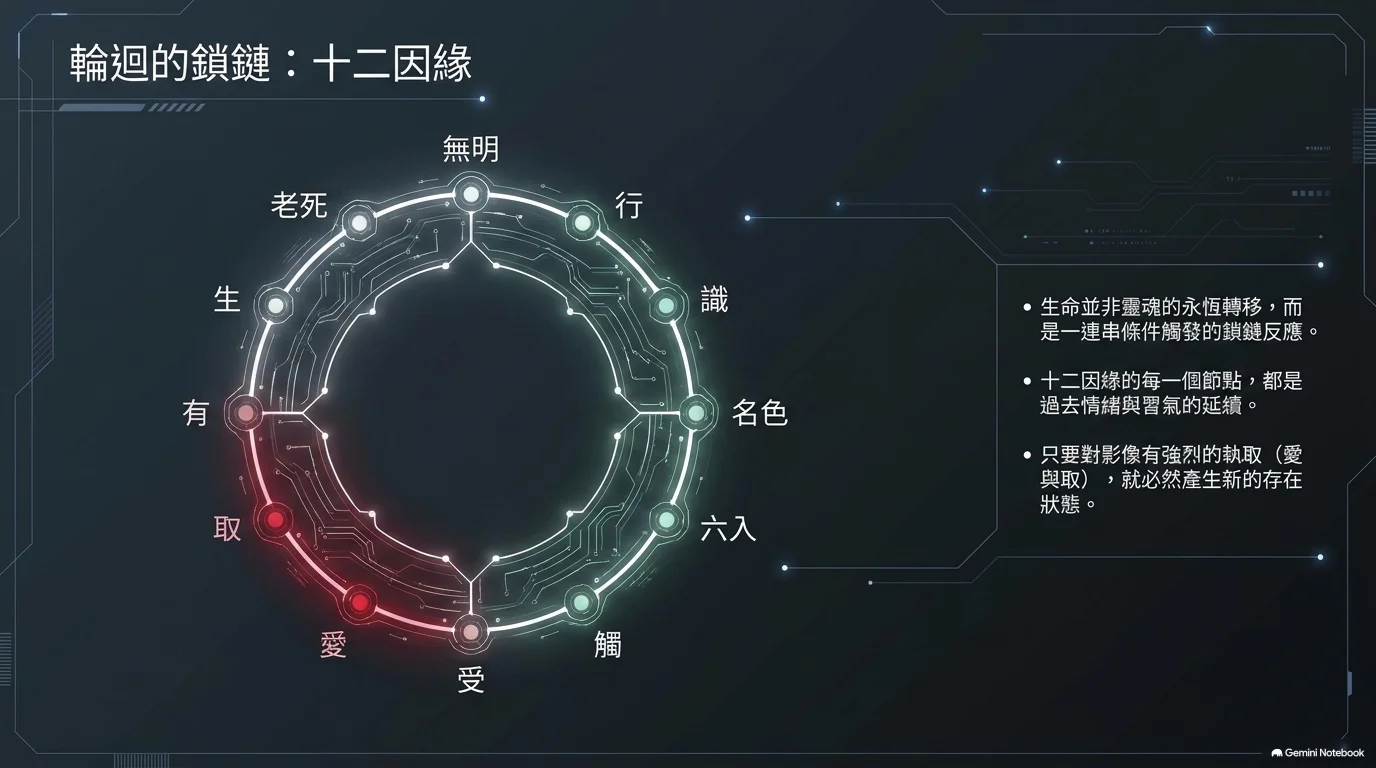 生滅隨觀到行捨:十六觀智的旅程