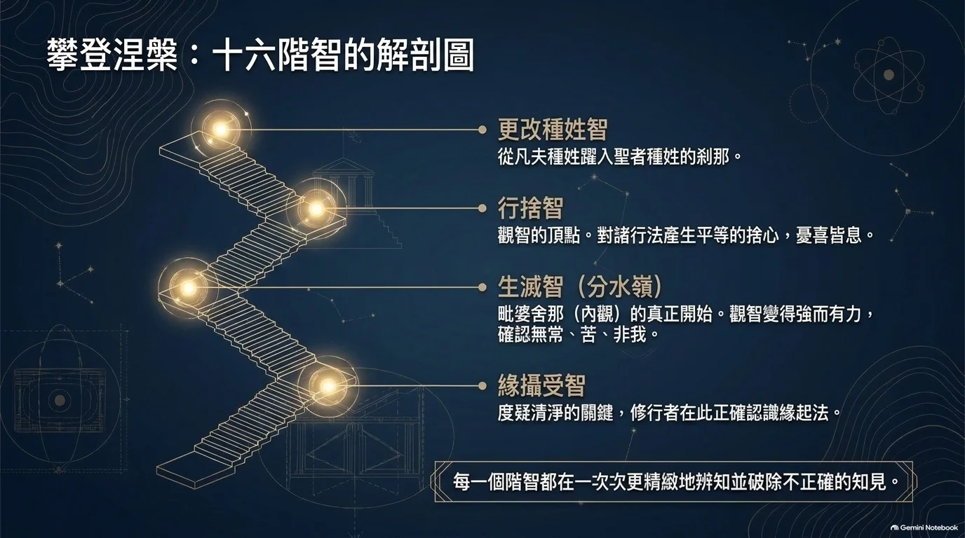 無生智空性圖